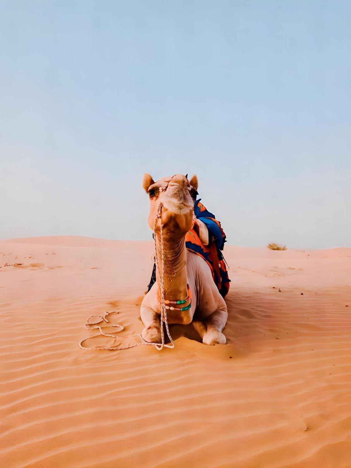 Jaisalmer Sand Dunes Luxury Camp And Resort ภายนอก รูปภาพ